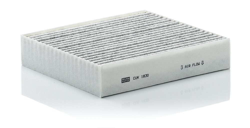 Filter, Innenraumluft