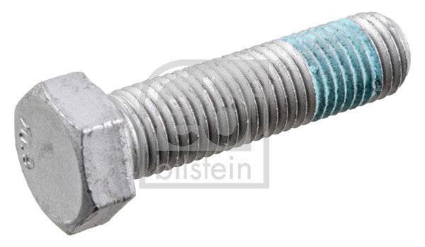 Schraube, Bremssattel