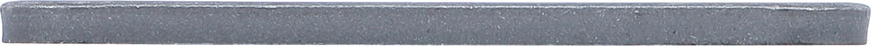 BGS Druckplatte