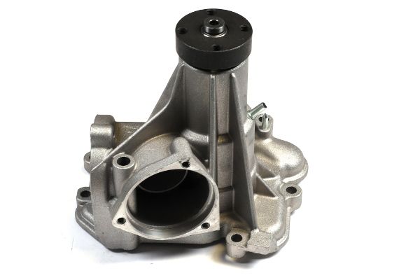 Wasserpumpe, Motorkühlung