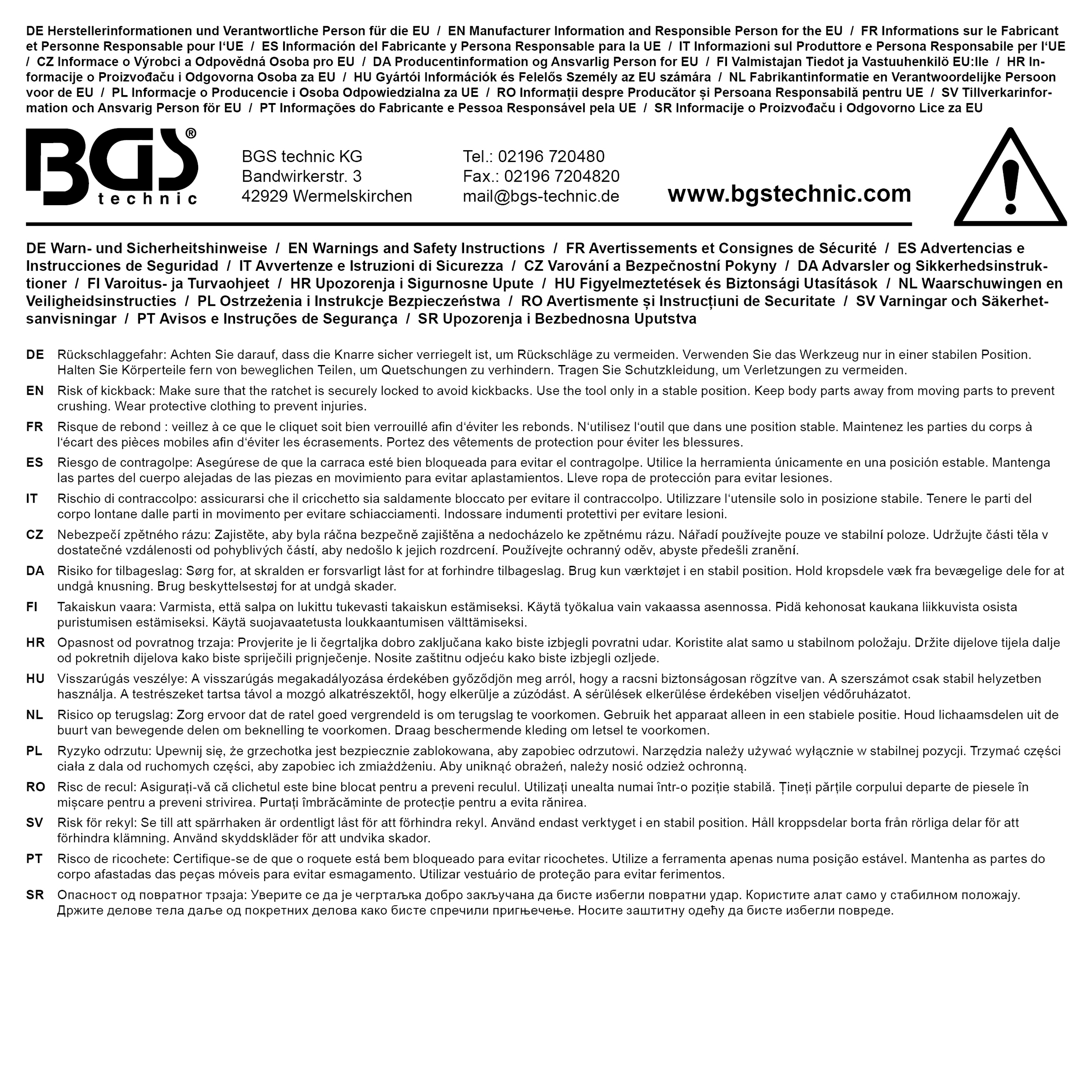 BGS Umschaltknarre mit Kugelkopf | Abtrieb Außenvierkant 6,3 mm (1/4")