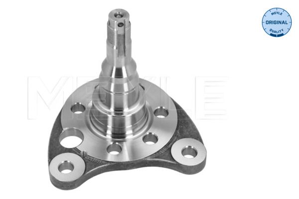 Achszapfen, Achskörper