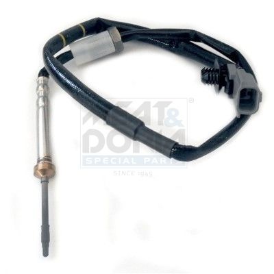 Sensor, Abgastemperatur