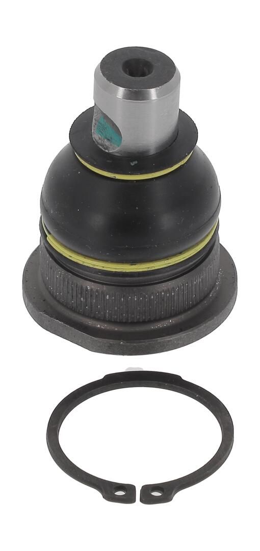 Trag-/Führungsgelenk