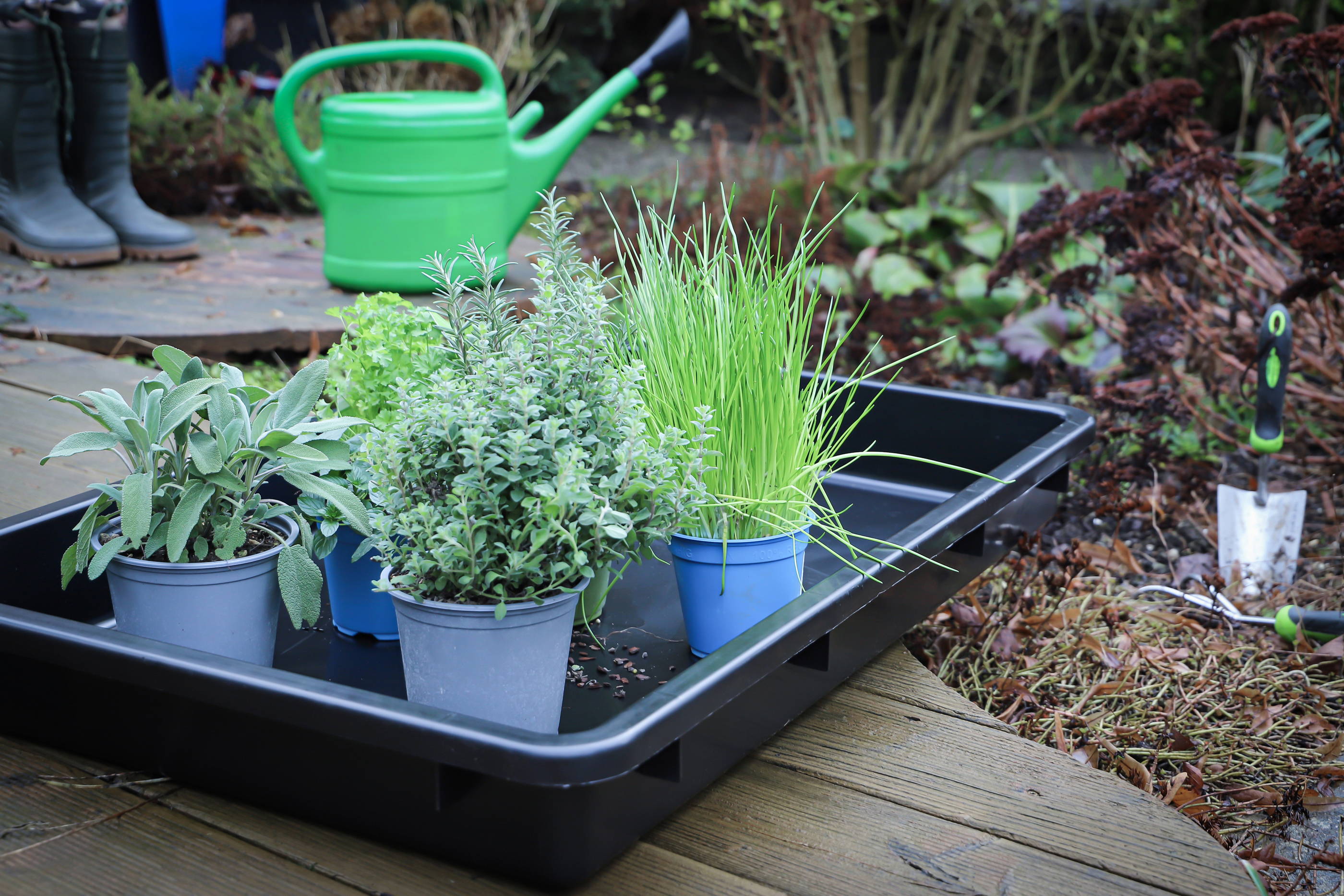 BGS Mehrzweckwanne mit Ausgießer | schwarz | 42 l