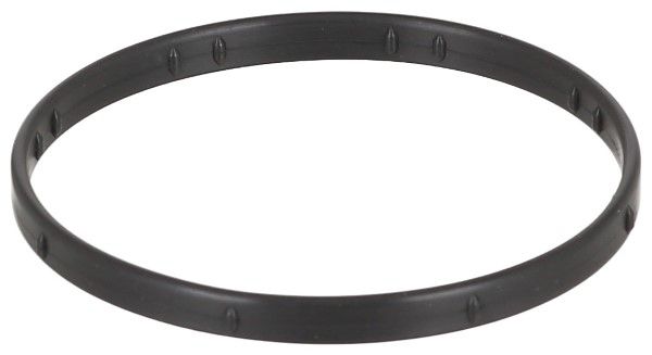 Dichtung, Ansaugkrümmergehäuse