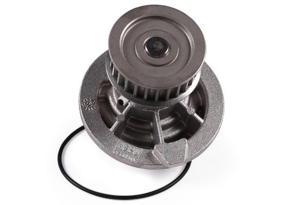 Wasserpumpe, Motorkühlung