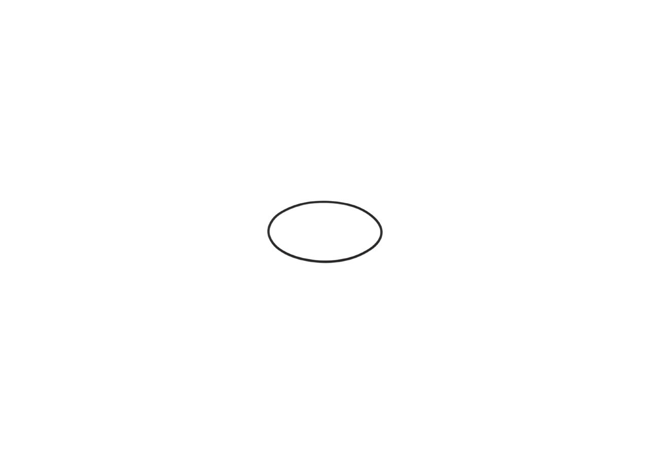 Gummiring F 00N 202 726 “BOSCH”