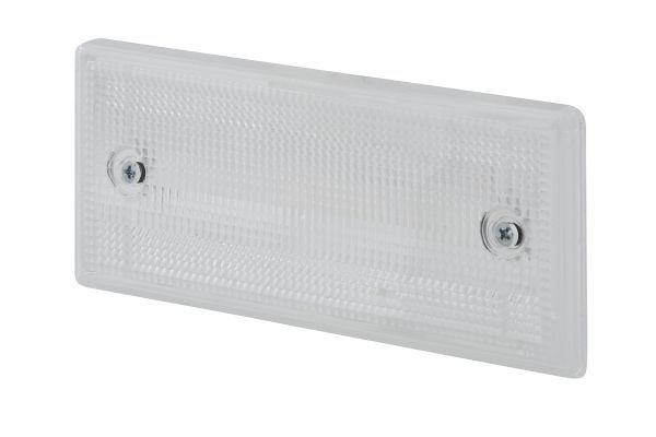 Lichtscheibe, Rückfahrleuchte