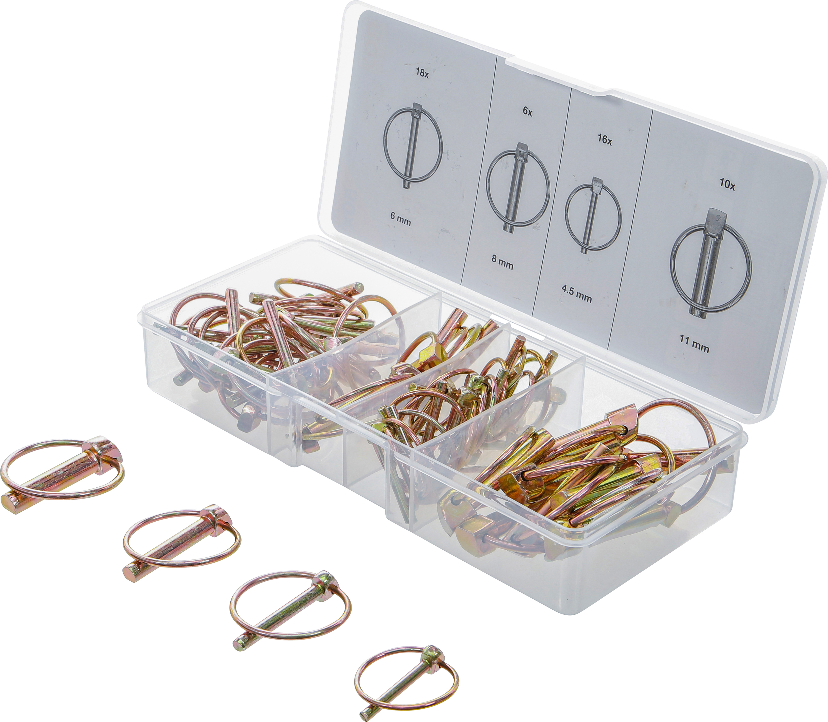 BGS Klappsplinte-Sortiment | 50-tlg.