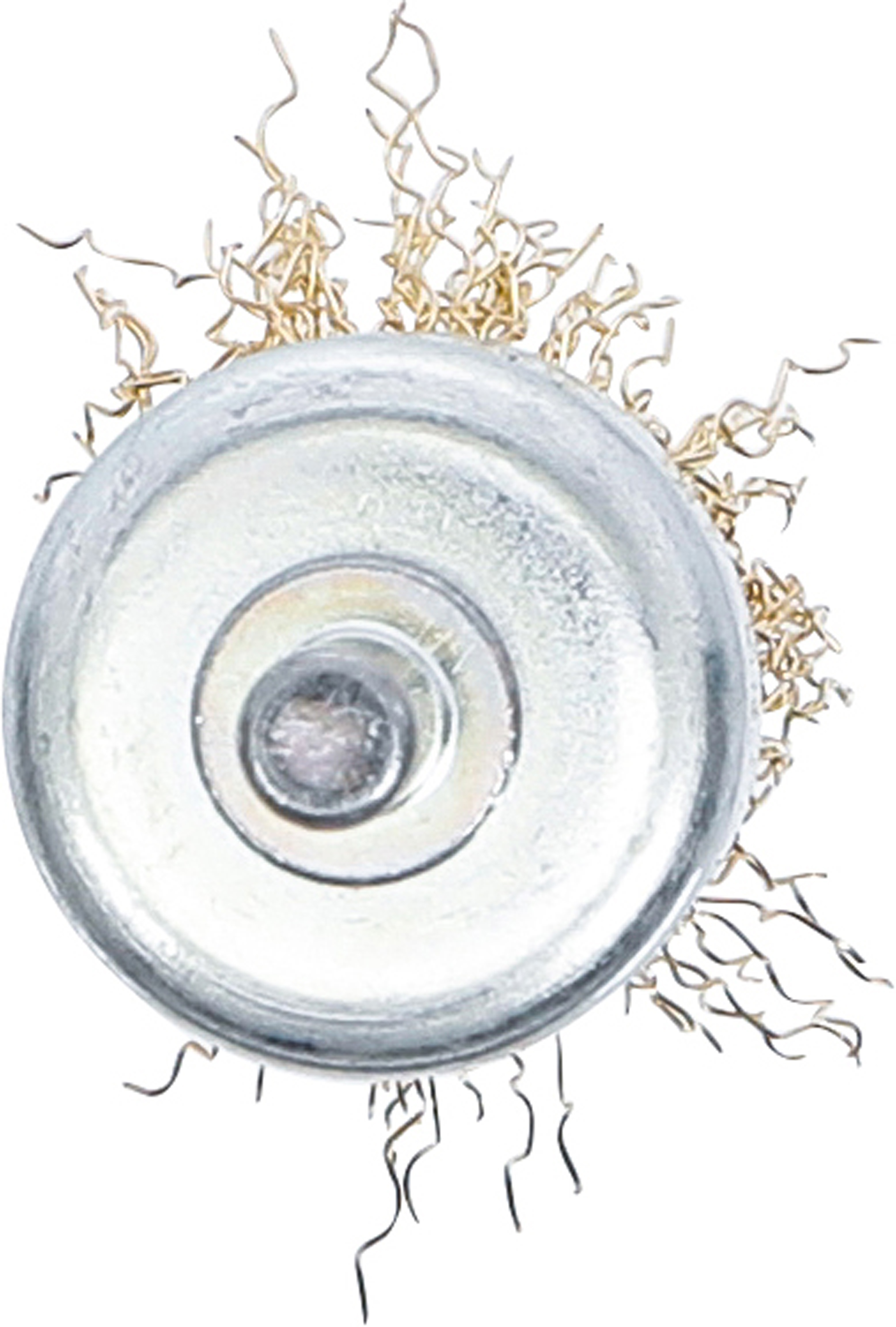 BGS Pinsel-Drahtbürste | vermessingt | Ø 25 mm