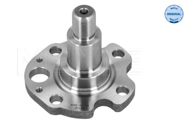 Achszapfen, Achskörper