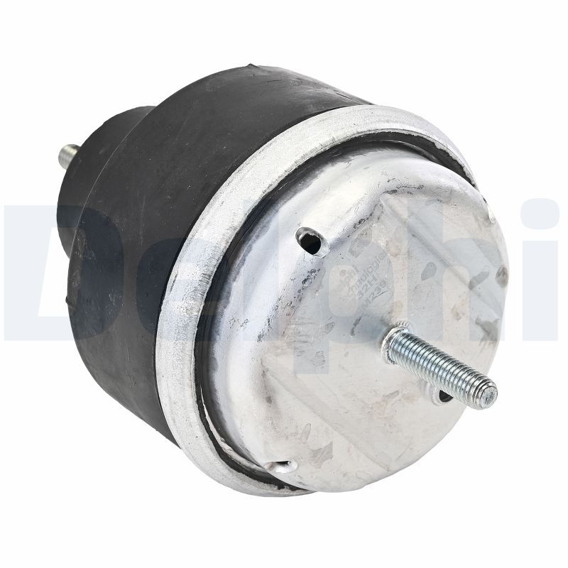Lagerung, Motor TEM239 “DELPHI”