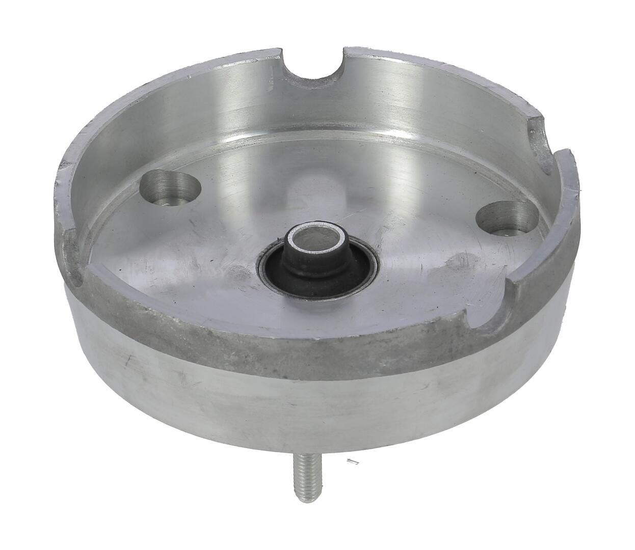 Federbeinstützlager