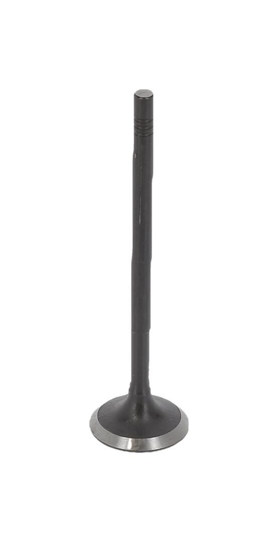 Einlassventil