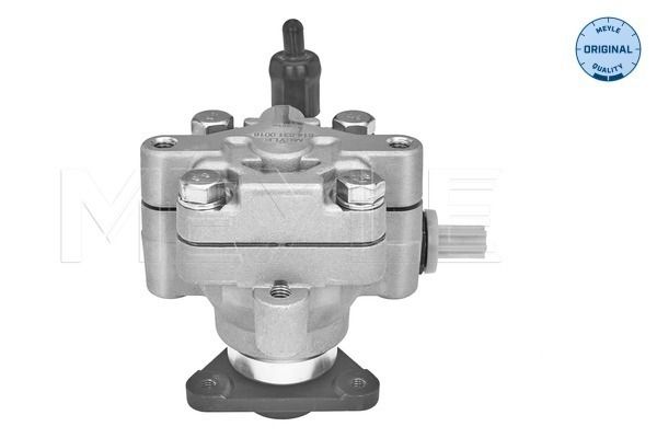 Hydraulikpumpe, Lenkung