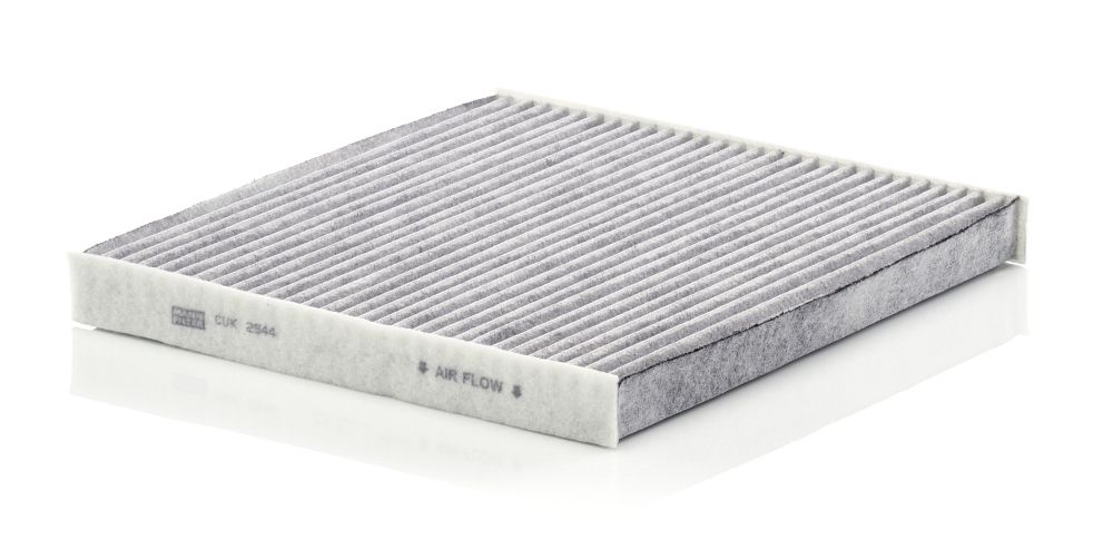 Filter, Innenraumluft