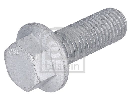 Schraube, Bremssattel